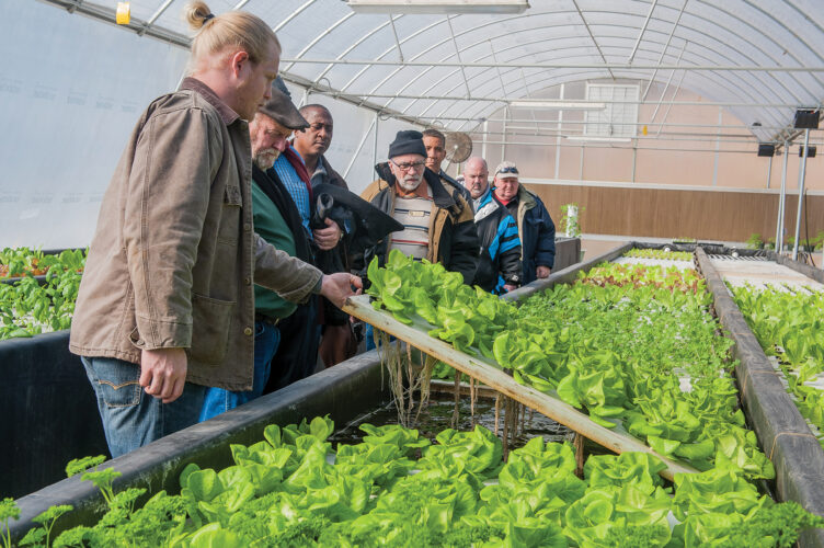 How an Aquaponics System Works